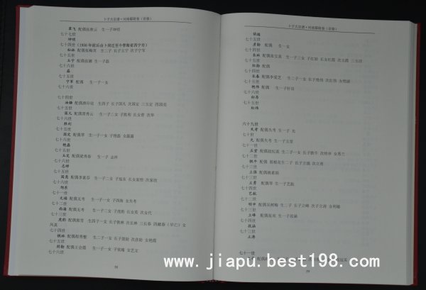 河南许昌卜氏家谱(此系首次修订)