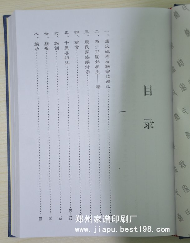 周口康氏家谱(第二版)