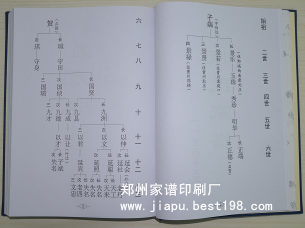 周口康氏家谱(第二版)