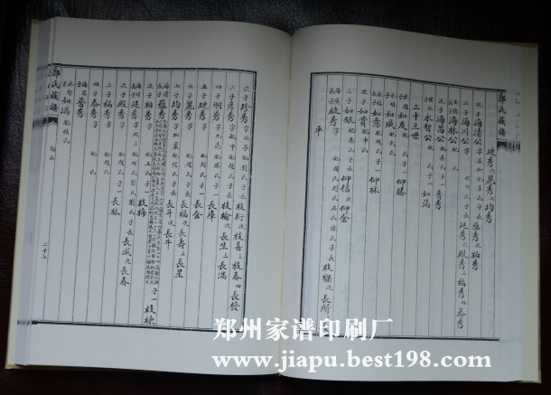 山西省盂县郭氏家谱【东坪村】