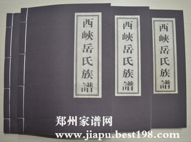 河南南阳西峡岳氏家谱(岳飞五子后代)