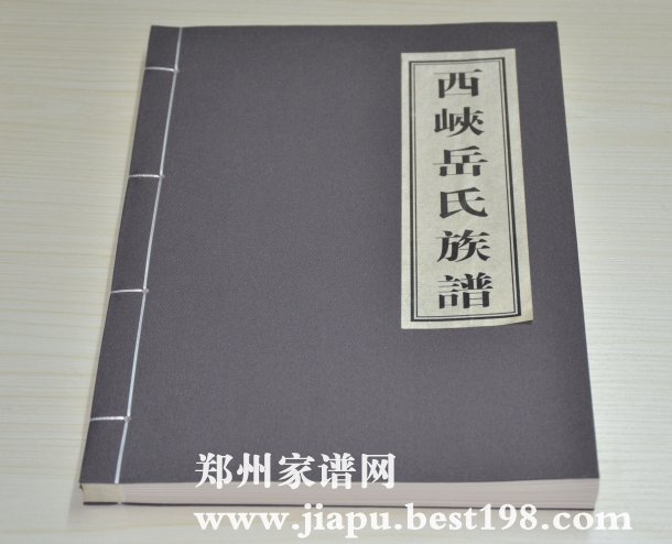 河南南阳西峡岳氏家谱(岳飞五子后代)