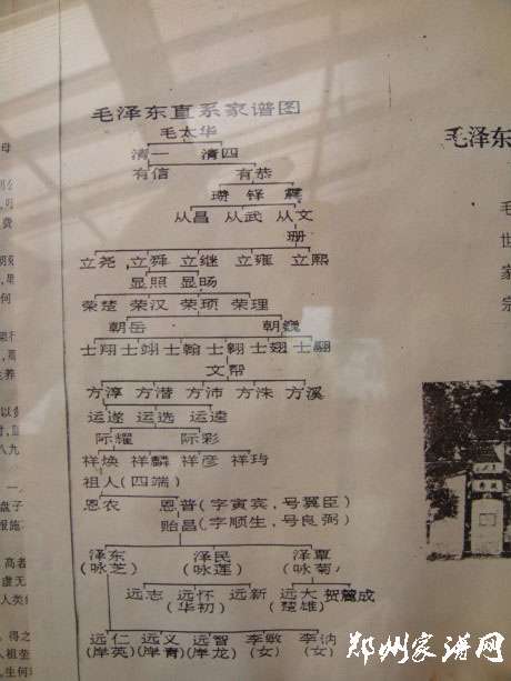 族谱上人口_人口普查图片(2)