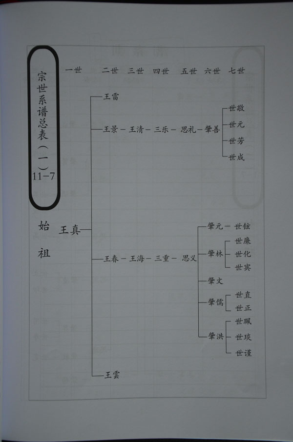 巢姓人口_人口普查(3)