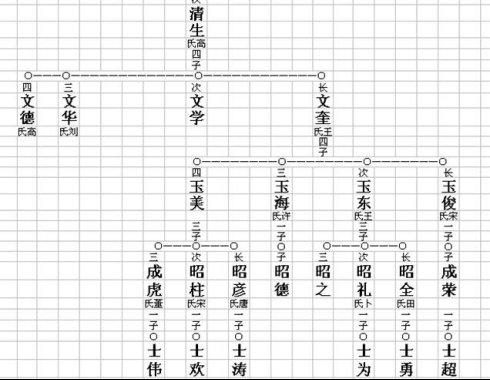 专家告诉你如何编写家谱世系图