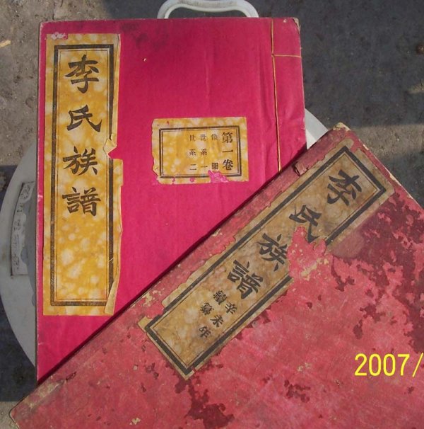 河南周口李氏族谱(辛未