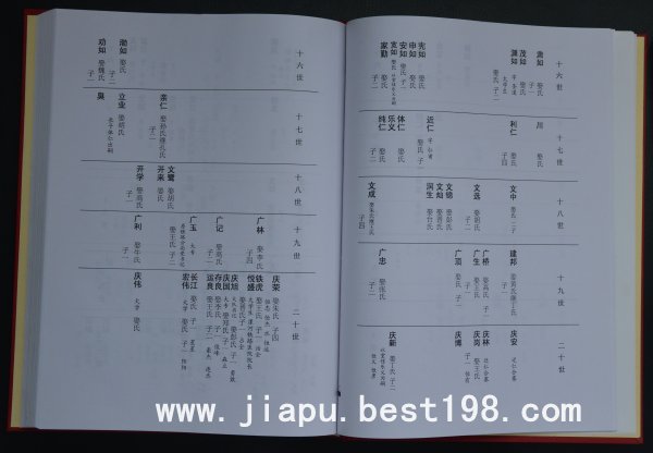 河南西华县王氏族谱所采用的格式