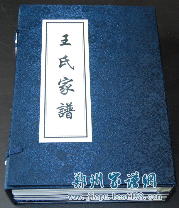 河南民权县王氏家谱