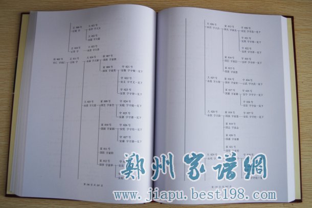 贵州省怀仁市王氏族谱(三槐堂)印刷完毕图片